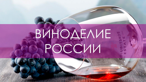 🍷 Виноделие в России – сектор, в котором компании может ждать кратный рост по выручке и прибыли