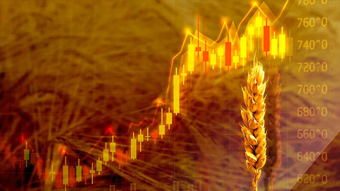 Цены на зерно и рис под угрозой, инфляция штормит мировой рынок