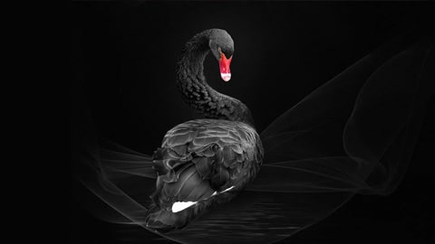 Рынки в ожидании осенних бурь: Возможные «черные лебеди»