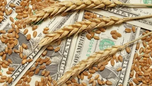 Резкий рост фьючерсов на пшеницу: причины и прогнозы на будущее